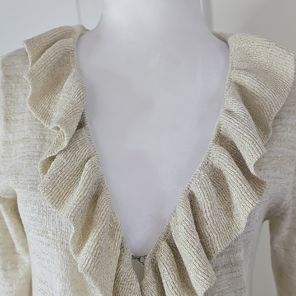 Banana Republic Sparkling Cream Knit - Picture 5 of 9